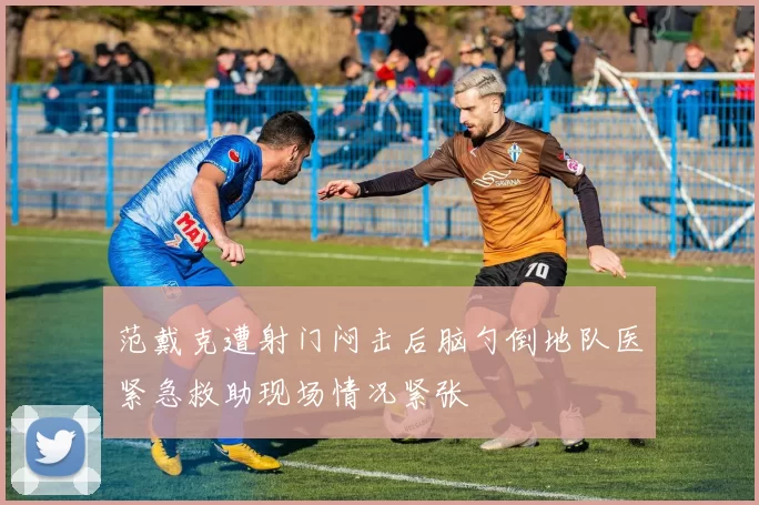 范戴克遭射门闷击后脑勺倒地队医紧急救助现场情况紧张