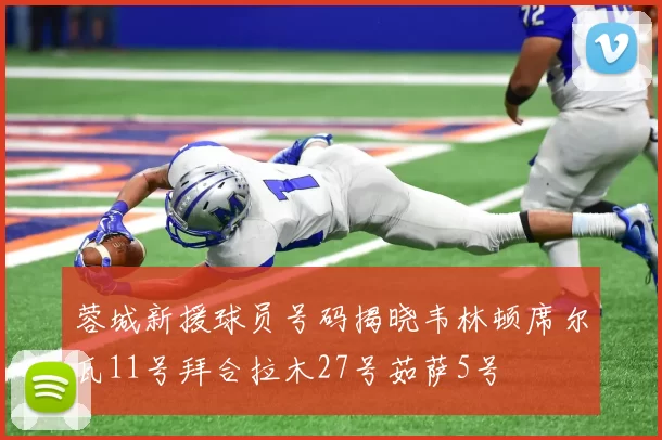 蓉城新援球员号码揭晓韦林顿席尔瓦11号拜合拉木27号茹萨5号